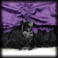 Spódnica Raven gotycka wiktoriańska S-XL7.jpg