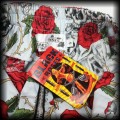 Sukienka Pin Up Punk czaszki i róże S Black Roses popielata NOWA8.jpg