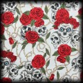 Sukienka Pin Up Punk czaszki i róże S Black Roses popielata NOWA92.jpg