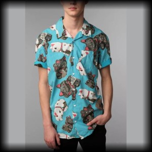 Koszula Vans XL koty maneki neko
