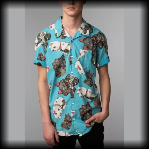 Koszula Vans XL koty maneki neko.jpg
