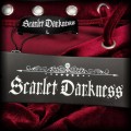 Sukienka Scarlett Darkness L Goth bordo aksamitna mini8.jpg