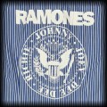 Koszula Ramones L DIY niebiesko biała w prążki6.jpg