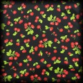 Sukienka Pin Up Couture S wisienki8.jpg