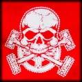 Naszywka Bike Skull red.jpg