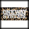 Naszywka One Way System panterka.jpg