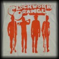 Kamizelka ramoneska S biała clockwork orange the Adicts91.jpg