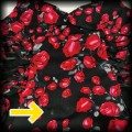 Sukienka Pin Up Hearts &amp; Roses XXL gorsetowa w kwiaty9.jpg