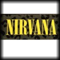 Naszywka Nirvana napis kolory green panther.jpg