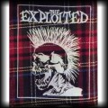 Naszywka The Exploited czacha kolory krat.jpg