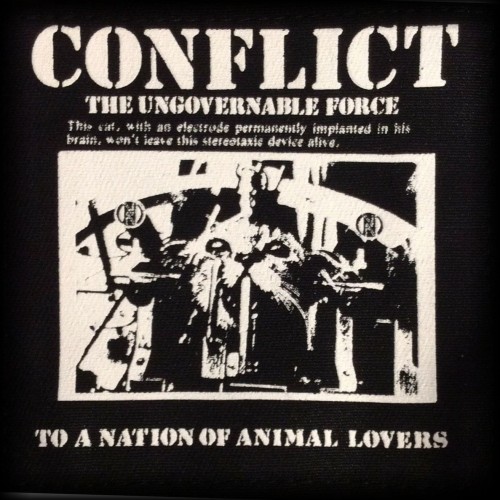 Naszywka Conflict cat.jpg