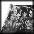 Spodenki Black Premium by EMP S (28) farbowane2.JPG