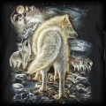 Koszulka Wild Wilki M Wolf2.jpg