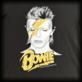 Koszulka David Bowie M Ziggy Stardust3.jpg