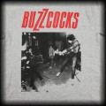 Koszulka Buzzcocks Punk2.jpg